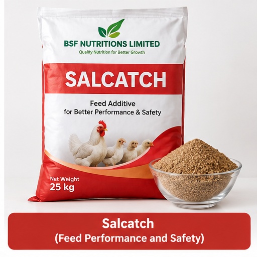 Salcatch
